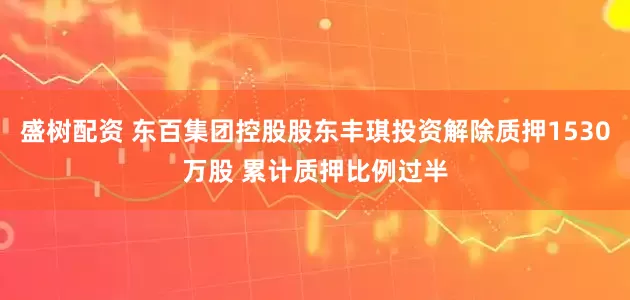 盛树配资 东百集团控股股东丰琪投资解除质押1530万股 累计质押比例过半